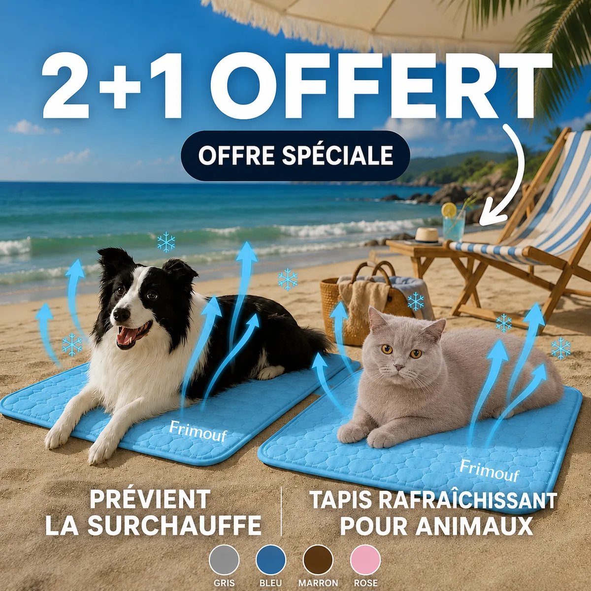 Un border collie et un chat gris installés chacun sur un tapis rafraîchissant bleu, posés sur le sable d'une plage près d'un transat