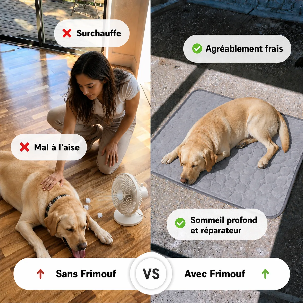 Comparaison en deux volets : à gauche un labrador couché sur un parquet devant un ventilateur, sa maîtresse accroupie près de lui, à droite le même labrador endormi sur un tapis rafraîchissant gris posé à l'ombre